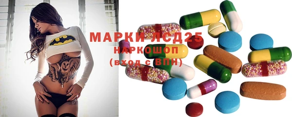 крисы Армянск