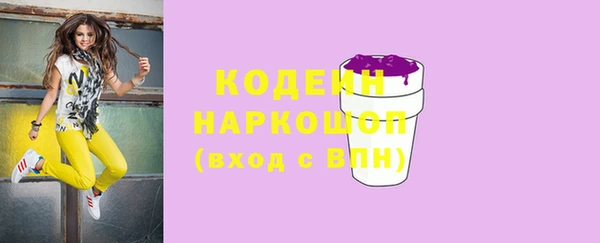 крисы Армянск