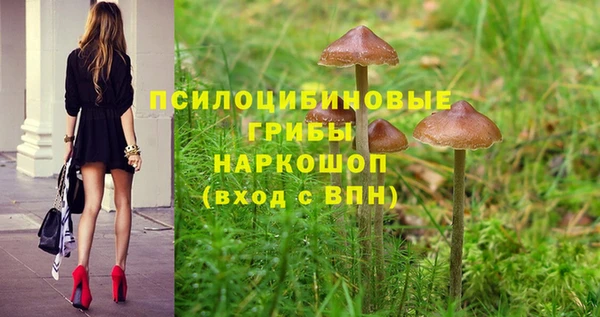 кокс Аркадак