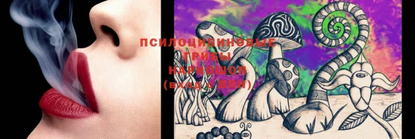 прущие грибы Арсеньев