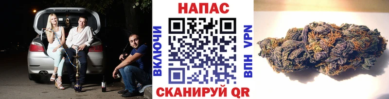 Бошки марихуана MAZAR Балахна