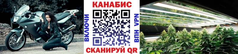 Марихуана план  Балахна 